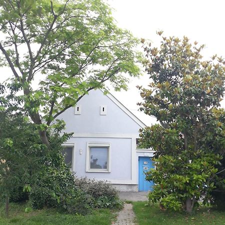 Alla Kittsee المظهر الخارجي الصورة